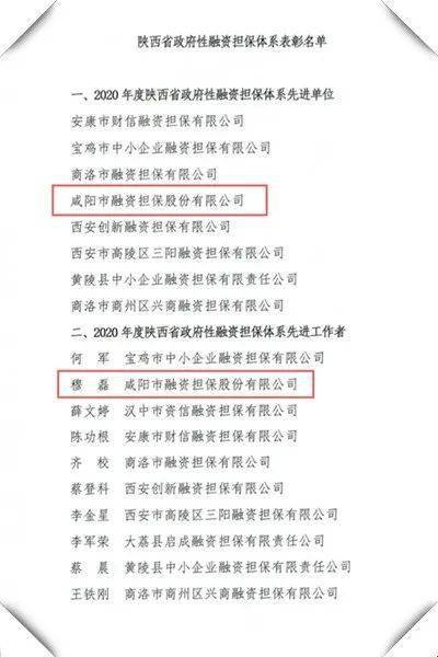 喜訊 市融資擔(dān)保公司榮獲2020年度陜西省政府性融資擔(dān)保體系先進(jìn)單位榮譽(yù)稱號(hào)