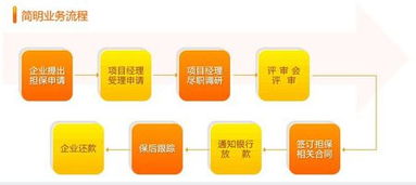 融資性擔保公司的業務流程與核心運作機制